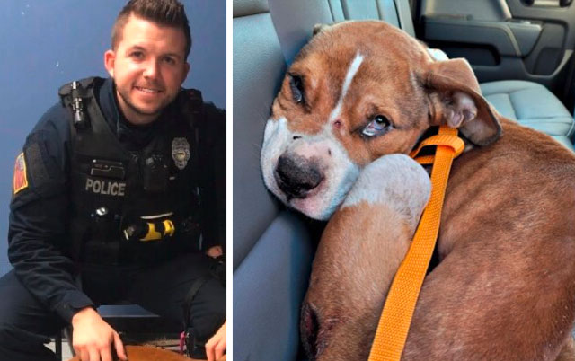 Policajac spasao i udomio štene