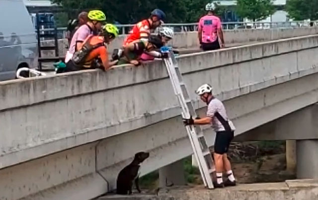 Biciklisti u akciji spasavanja psa