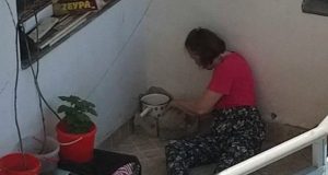 Žena kuva mačke