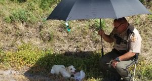 policajac svetac spasava psa