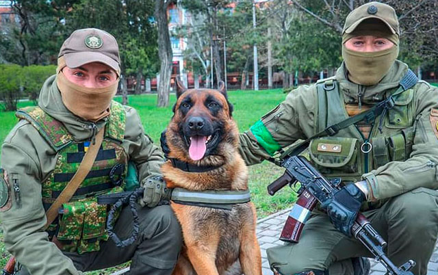 Ukrajinski vojnici usvojili ruskog vojnog psa