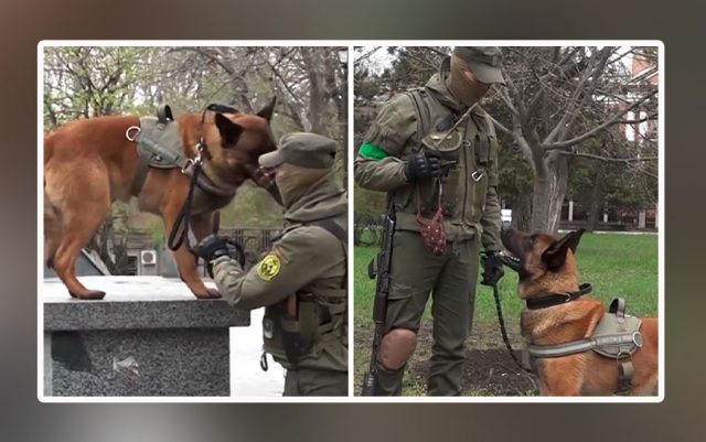 Ukrajinski vojnici usvojili ruskog vojnog psa