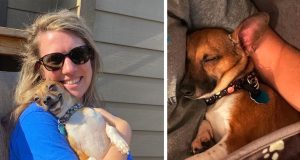 Medicinska sestra usvojila psa preminule pacijentkinje