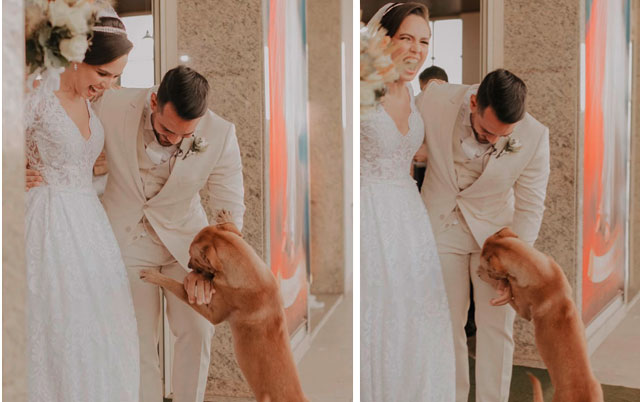 Pas upao na venčanje