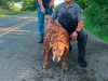 Policajac spasao psa