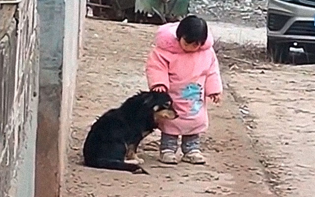 Devojčica smiruje psa