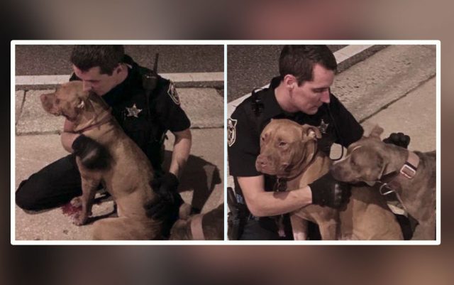 Policajac razdvojio pse